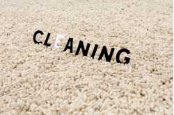 Carpet Cleaning Gilbert