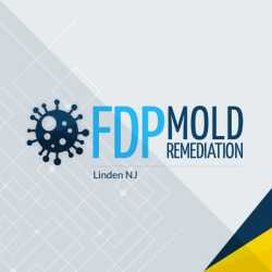 FDP Mold Remediation | Mold Remediation Linden 