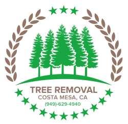 Tree Removal Costa Mesa