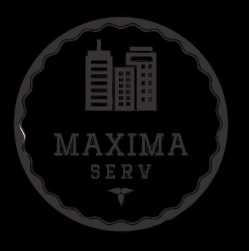 Max Serv Corp