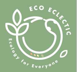Eco Eclectic