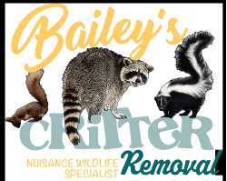 Bailey's Critter Removal