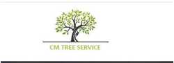 Minneapolis Tree Service Experts