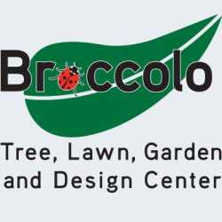 Broccolo Tree and Lawn Care