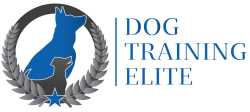 Dog Training Elite San Antonio