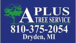 A Plus Tree Service Inc