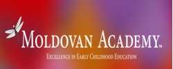 Moldovan Academy