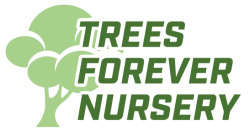 Trees Forever Nursery
