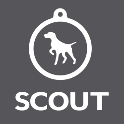 The SCOUT Agency