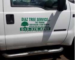 Diaz Tree Service Experts