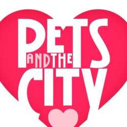 Pets And The City LLC - Tailored and professional Dog Walks