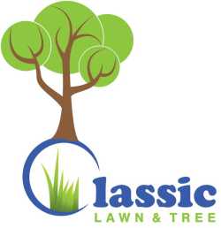 Classic Lawn And Tree