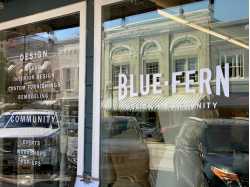Blue Fern Merchant - Design Community