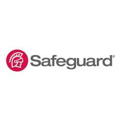 Safeguard Business Systems, Raymond Katzen