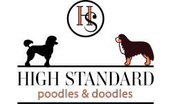 High Standard Poodles And Doodles