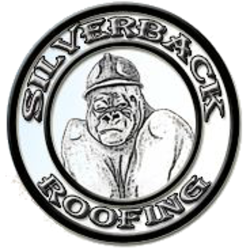 Silverback Roofing