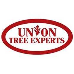 Union Tree Experts