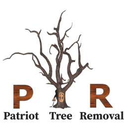 Patriot Tree Removal LLC