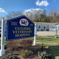Guilford Veterinary Hospital