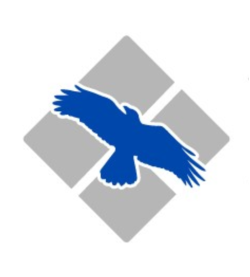 Blue Raven Executive Protection & Security Services