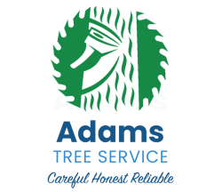 Adam's Tree Service