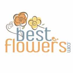 Best Flowers Worldwide
