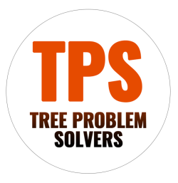 Tree Problem Solvers