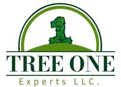 Tree One Experts LLC