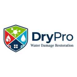 DryPro Water Damage Restoration