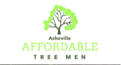Asheville Affordable Tree Men
