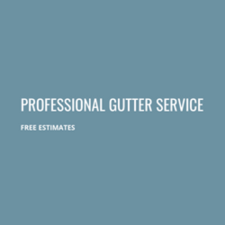 Professional Gutter Service