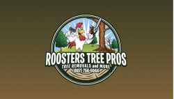 Monster Tree Service of Rochester