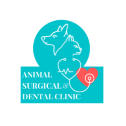 Animal Surgical & Dental Clinic
