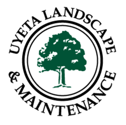 Uyeta Landscape, Design and Maintenance