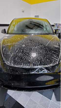 ACP Paint Protection