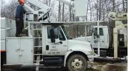Town and Country Tree Service
