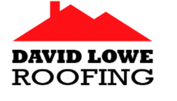 David Lowe Roofing