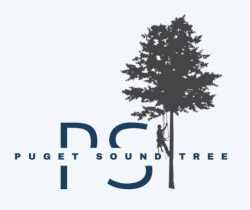Puget Sound Tree