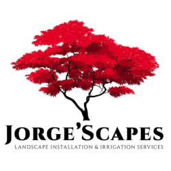 JorgeScapes