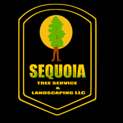 Sequoia Tree Service And Landscaping