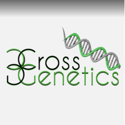 Cross Genetics Dispensary