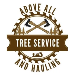 Above All Tree Services and Hauling