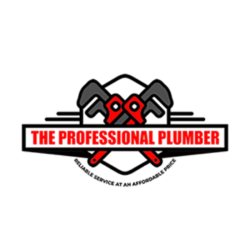 The Professional Plumber