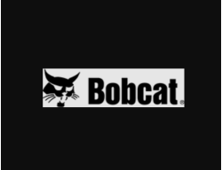 Bobcat of The Finger Lakes