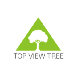 Top View Tree