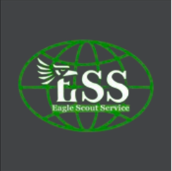 Eagle Scout Service