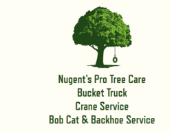 Nugent's Pro Tree Care