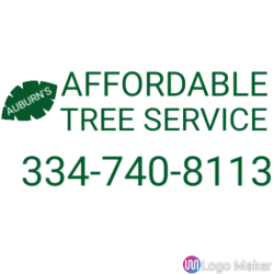 Auburn's Affordable Tree Service