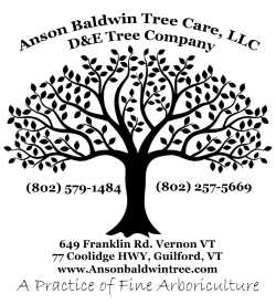 ANSON BALDWIN TREE CARE, LLC