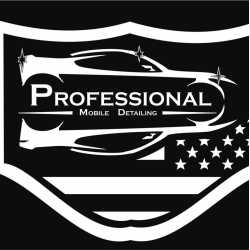 Professional Mobile Detailing